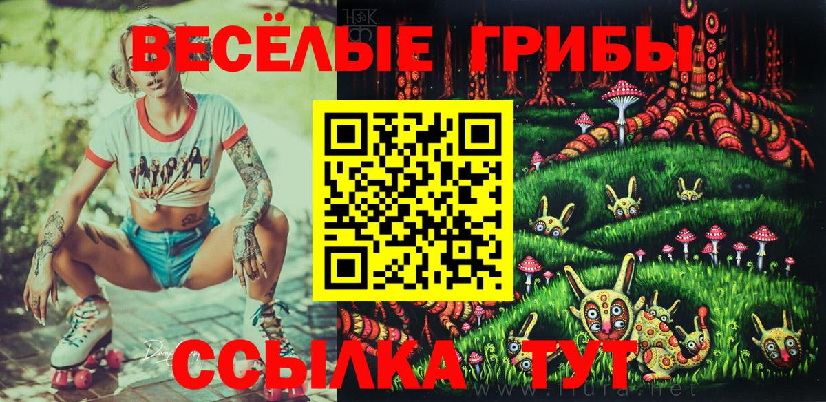 Галлюциногенные грибы Magic Shrooms  Псилоцибиновые грибы GOLDEN TEACHER  Вход с VPN  Златоуст 